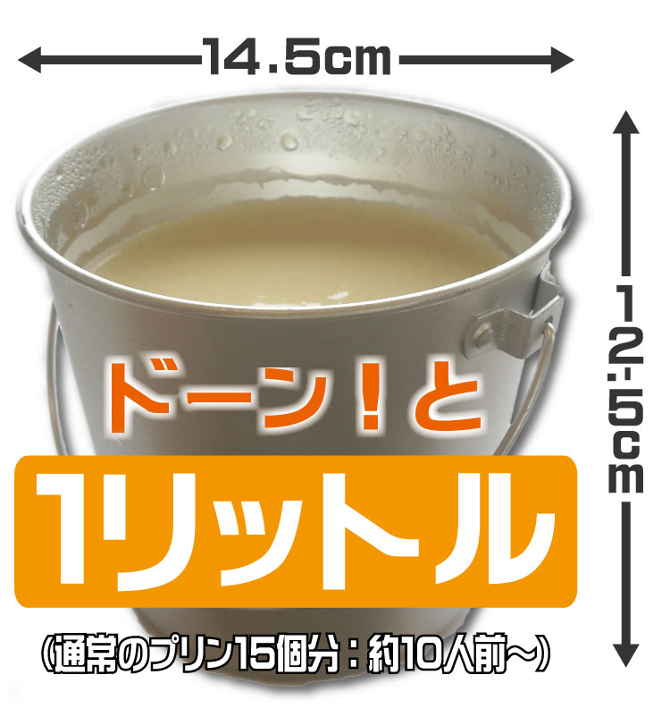 バケツプリン１ℓ入り