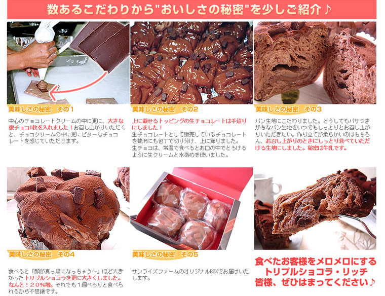 トリプルショコラリッチおいしさの秘密