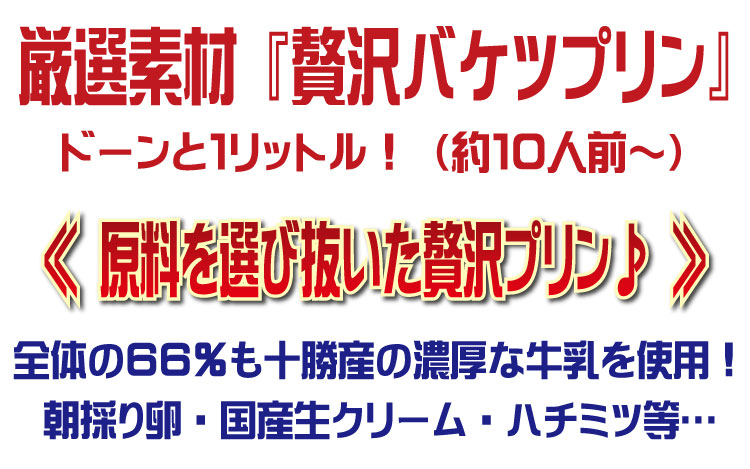 贅沢バケツプリン
